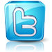 follow us on twitter